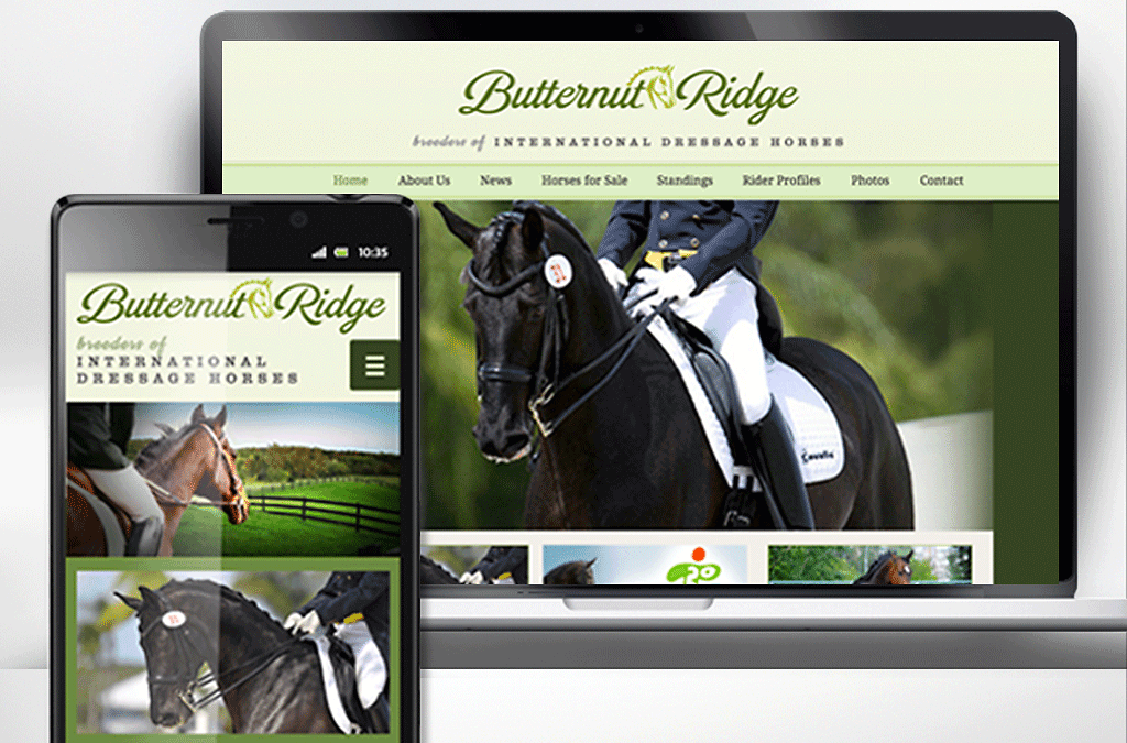 2015 Pan Am Equestrian Games branding.