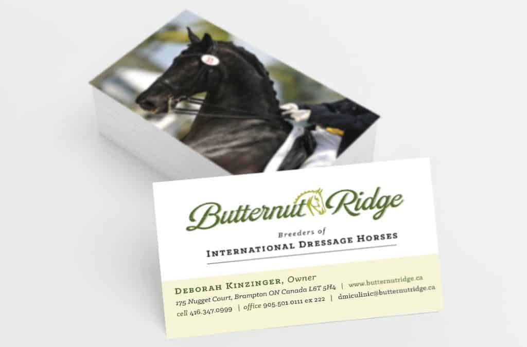 2015 Pan Am Equestrian Games branding.