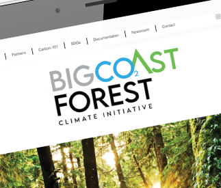 BCF project